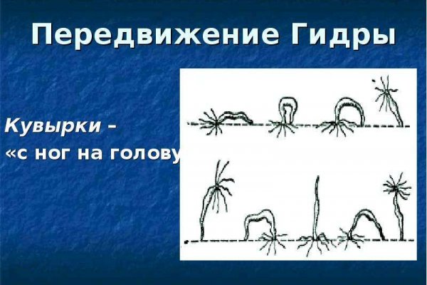 Кракен маркет даркнет только через тор