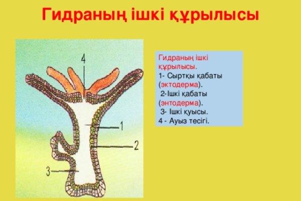 Не работает сайт kraken